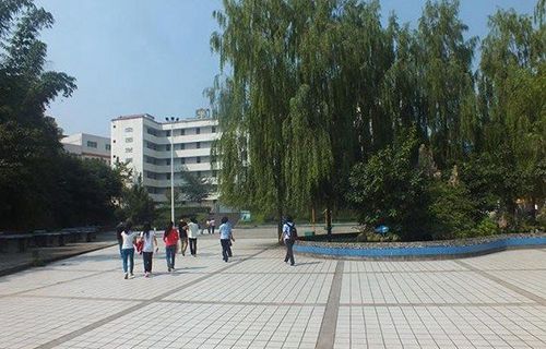 民丰县职业高中图片