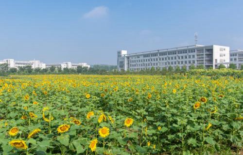 南京信息职业技术学院五年制大专图片