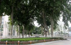甘肃兰州气象学校2021年招生专业