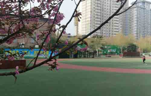 西安市莲湖区职工学校图片