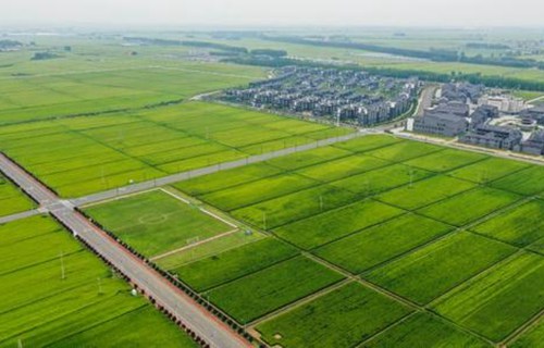 阿勒泰市切木尔切克农业职业中学图片
