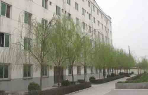 西安市外国语职业学校图片