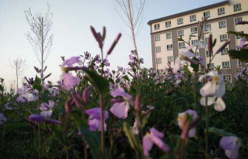 兖州市技工学校图片