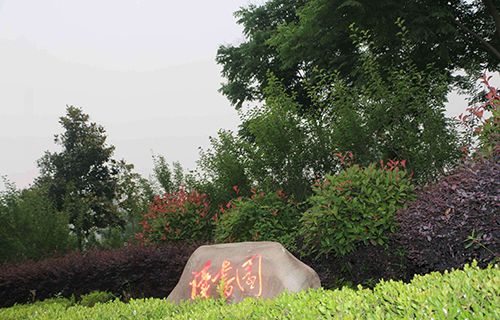 新疆护理学校图片