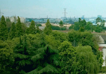 眉山信息工程中等职业技术学校图片