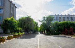 兰州华志艺术学校2021年录取分数线