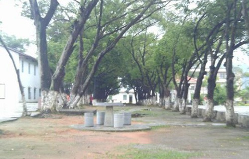 蒙山县职业中学图片