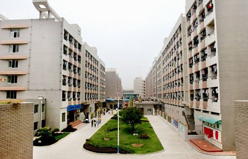 淳化县秦庄职业技术学校图片
