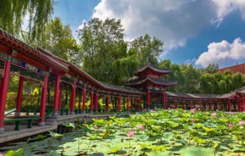 沈阳城市建设学院图片