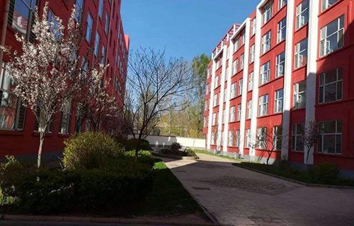 泰安市泰山区第一职业中等专业学校图片