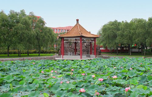 萧县技工学校图片