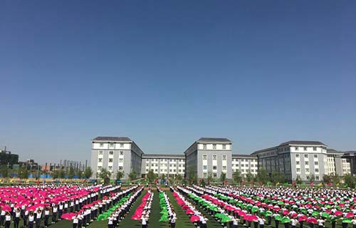 新疆计算机学校图片