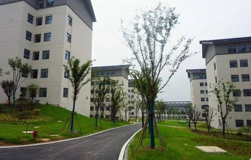 镇江高专卫生护理学院图片