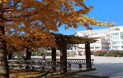 兰坪白族普米族自治县职业中学