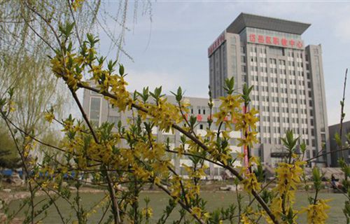 泰安市岱岳区职业中等专业学校