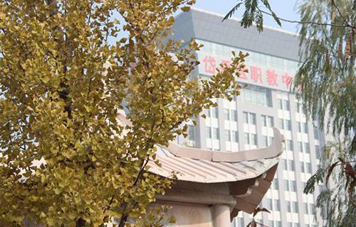 泰安市岱岳区职业中等专业学校图片