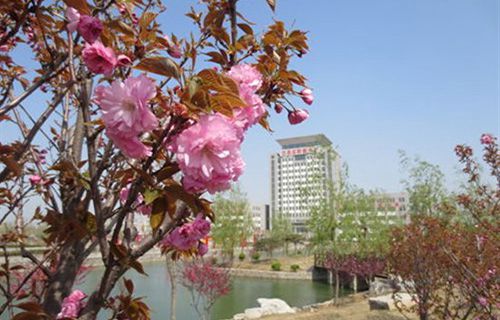 泰安市岱岳区职业中等专业学校图片