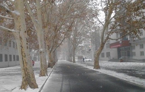河南农业职业学院图片