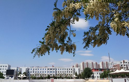 乌鲁木齐高铁乘务学校图片