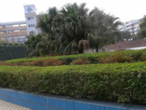 遂宁市电力工程学校图片