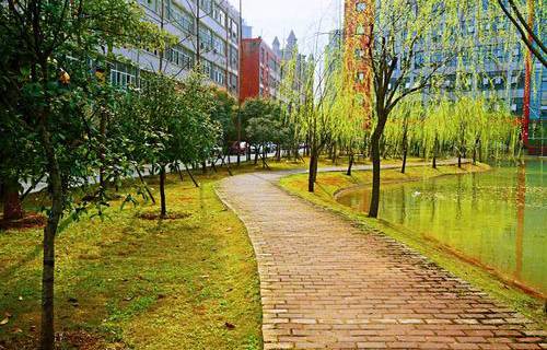 华山医药技工学校图片