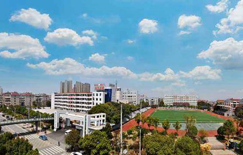 太和县郭庙乡梅庙初级职业中学图片