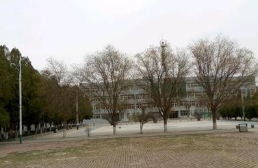 大竹县中峰职业技术学校图片