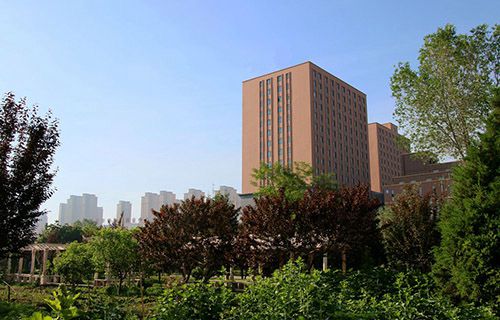太和县清浅镇初级职业中学图片