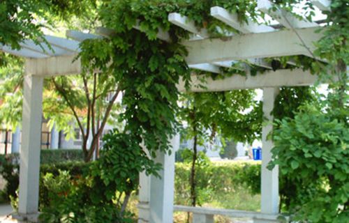 黄山市黄山区卫生进修学校