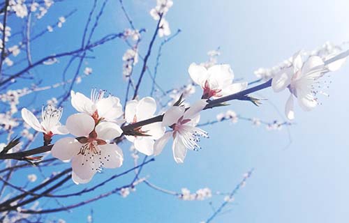 临沂市建设职工中等专业学校图片