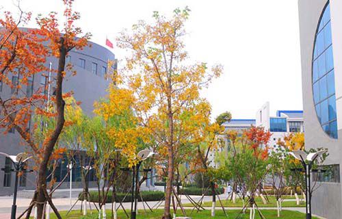 临沂矿务局技工学校图片