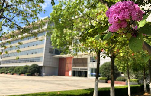 临沂市劳动局第一技工学校图片
