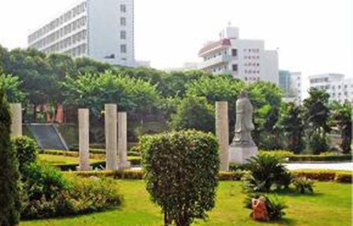 临泉县高级职业中学图片