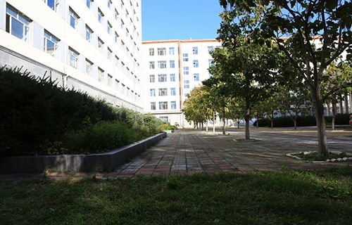 临泉县农机化技术学校图片