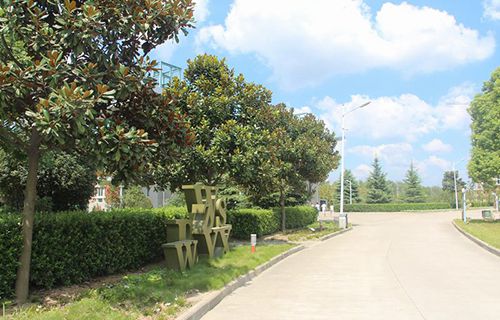 临沂市医药技工学校图片