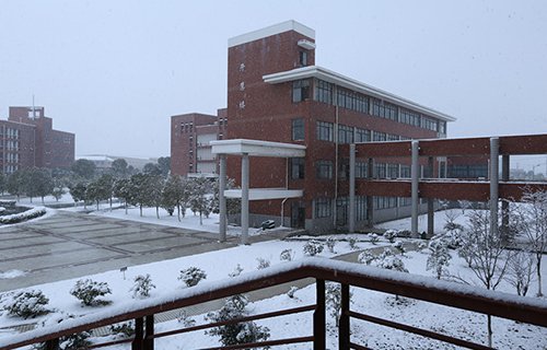 山西护士学校图片