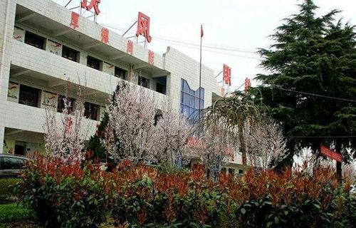 扶风县职教中心图片
