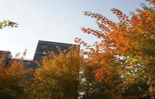 太原大学图片