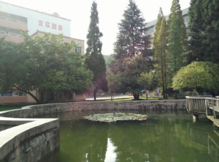 贵州省林业学校图片