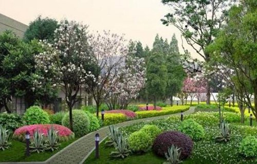 昆明市盘龙区新科技职业教育中心图片