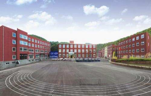 宝鸡新秦造纸厂技工学校图片