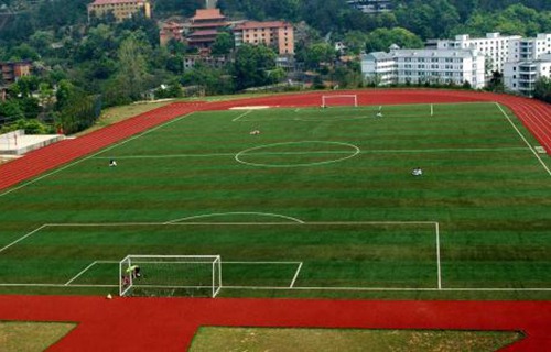 宝鸡新秦造纸厂技工学校图片