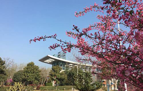 宿州卫生学校图片