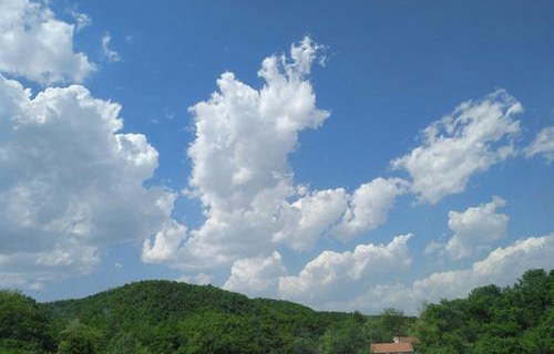 莘县技工学校图片