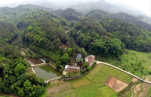福建三明林业学校图片