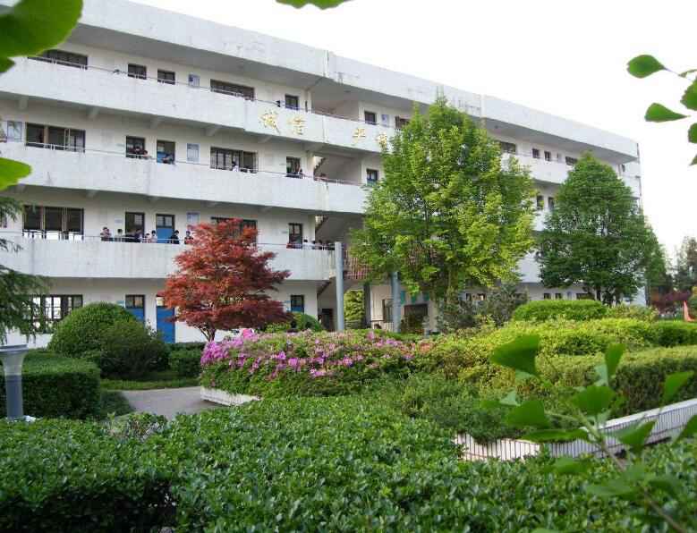 宝鸡县中等卫生职业学校图片