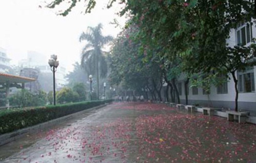 宝鸡市印染厂技校图片