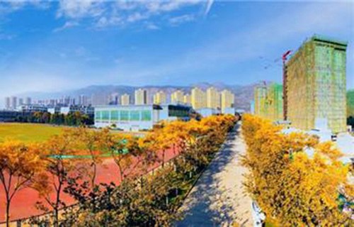 菏泽艺术学校图片