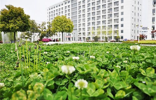 玉林商贸技工学校图片