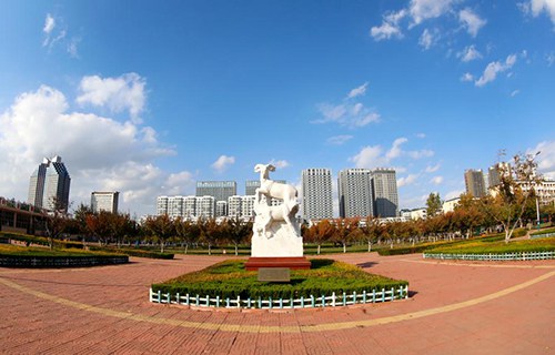 山东畜牧兽医职业学院图片